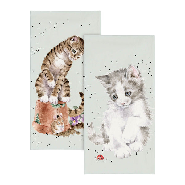 Wrendale Designs Pocket Tissues - 'Ladybird' Cat