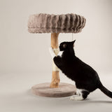 Scruffs Alpine Appalachians Cat Tree - Taupe