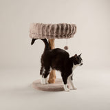 Scruffs Alpine Appalachians Cat Tree - Taupe