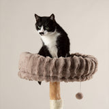 Scruffs Alpine Appalachians Cat Tree - Taupe
