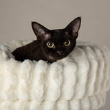 Scruffs Alpine Pyrenees Cat Tree - Cream