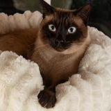 Scruffs Alpine Pyrenees Cat Tree - Cream