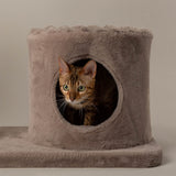 Scruffs Alpine Pyrenees Cat Tree - Taupe