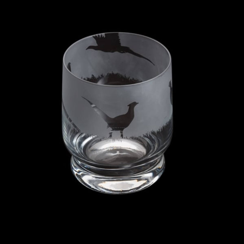 Dartington Aspect Tumbler - Pheasant