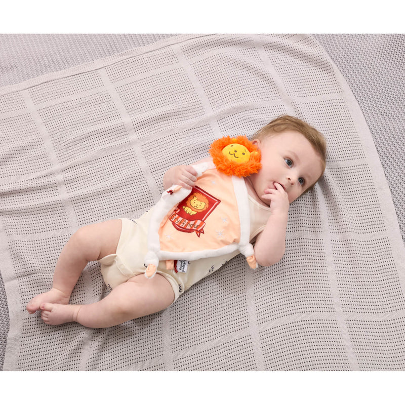 Harry Potter Comfort Blanket  - Gryffindor