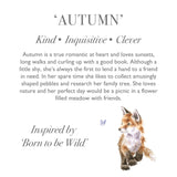 Wrendale Designs by Hannah Dale Super Plush Toy - Autumn the Fox