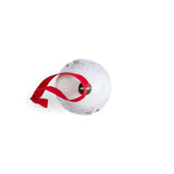 Wrendale Designs by Hannah Dale 2026 Limited Edition Christmas Bauble - Snow Place Like Home