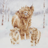 Wrendale Designs by Hannah Dale Fine China 23cm Square Plate - Highland Star