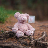 Wrendale Designs by Hannah Dale Junior Plush Toy - Vanessa the Pig