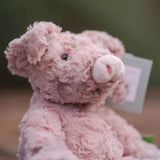 Wrendale Designs by Hannah Dale Junior Plush Toy - Vanessa the Pig