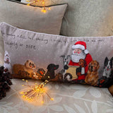 Alex Clark Christmas 50cm Cushion - Naughty Or Nice