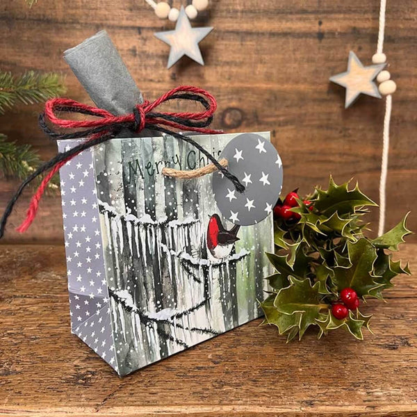 Alex Clark Christmas Small Gift Bag - Robin & Icicles