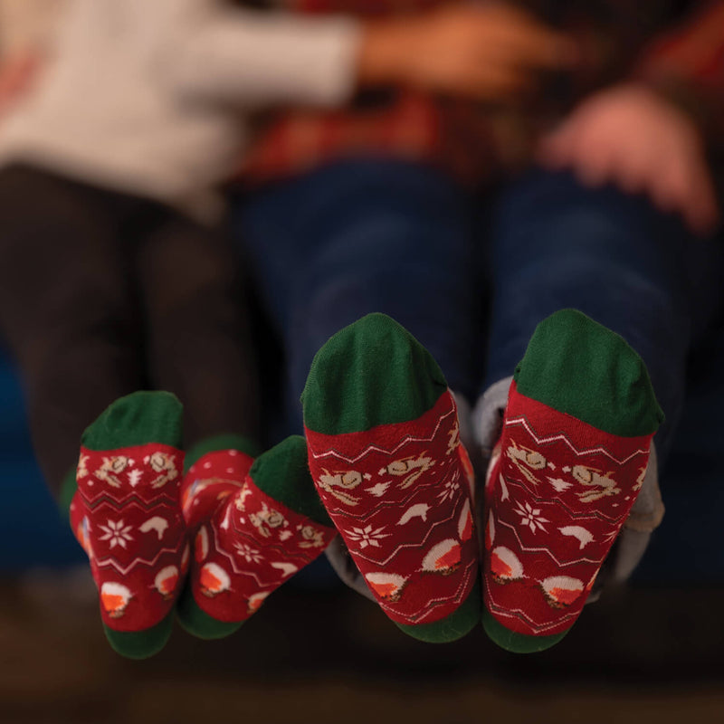 Wrendale Designs by Hannah Dale Childrens 6 to 8½ Bamboo Christmas Socks - Season's Tweetings - Robin