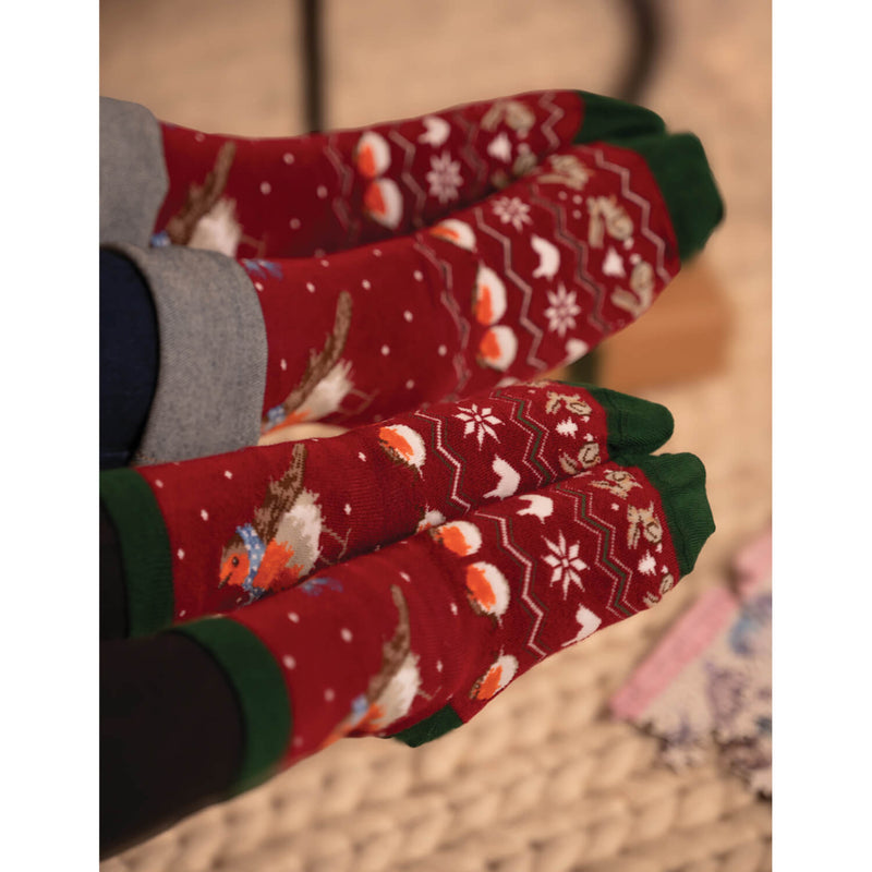 Wrendale Designs by Hannah Dale Childrens 6 to 8½ Bamboo Christmas Socks - Season's Tweetings - Robin