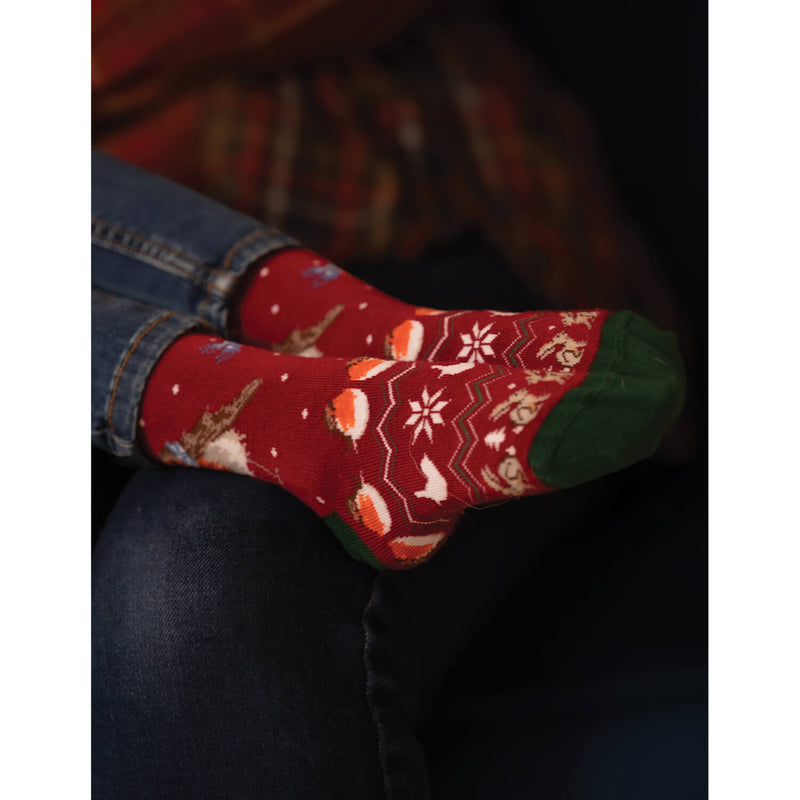 Wrendale Designs by Hannah Dale Childrens 6 to 8½ Bamboo Christmas Socks - Season's Tweetings - Robin