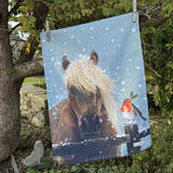 Alex Clark Christmas 100% Cotton Tea Towel - Horse And Robin