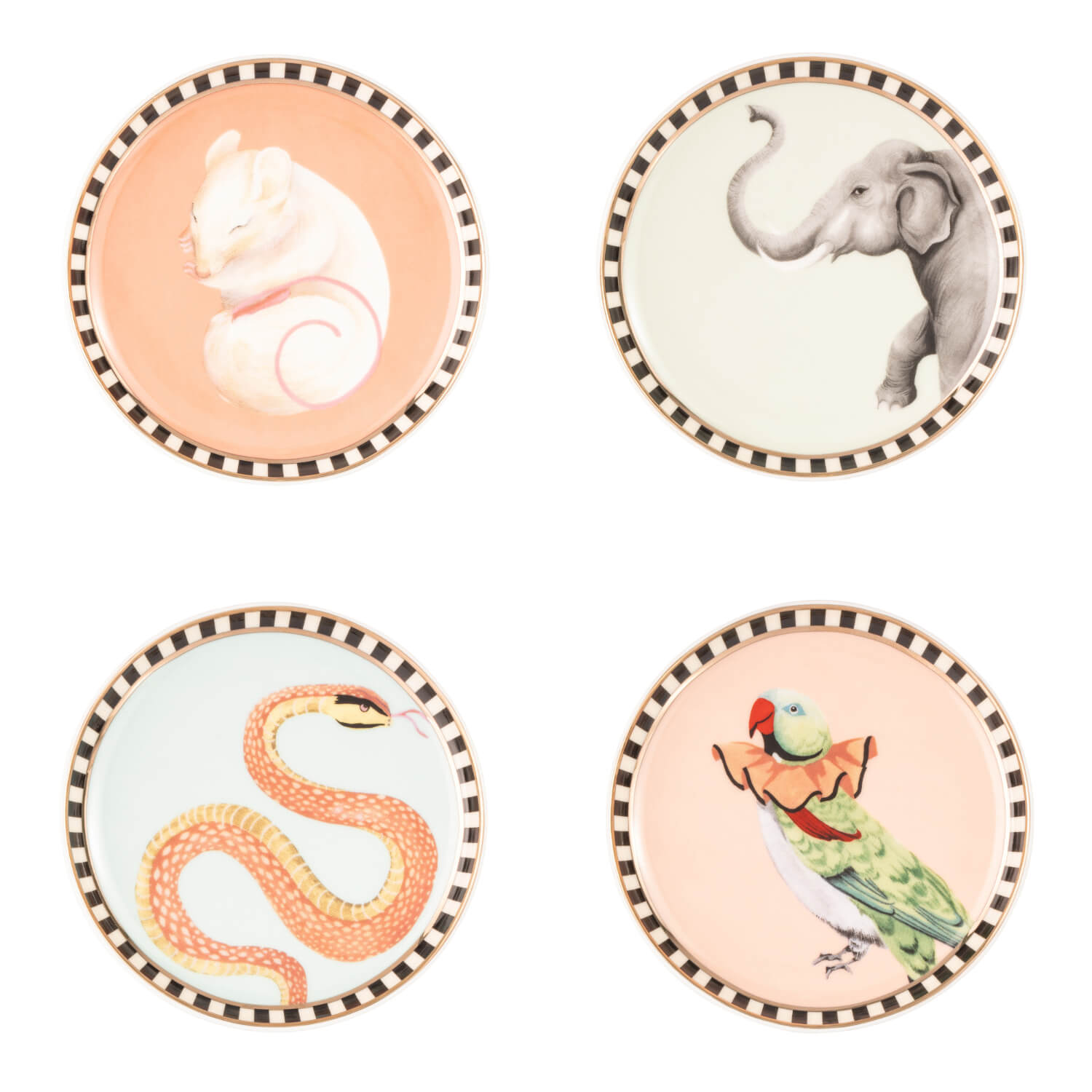 Buy Yvonne Ellen | Fine China 4-Piece Coaster Set - Animal – Potters ...
