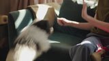 Joseph Joseph CleanTech™ 3-in-1 Pet Hair Cleaning Tool
