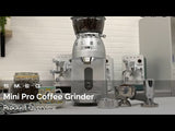 Smeg CGF02SSUK 50's Style Retro Mini Pro Coffee Grinder - Stainless Steel