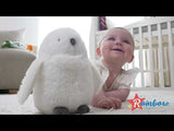 Harry Potter My First Stars Of Hogwarts Soft Toy - Hedwig