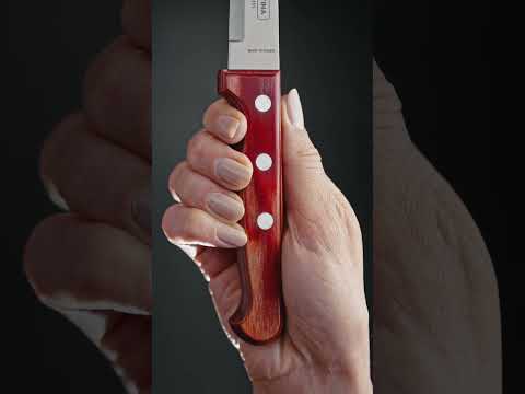 Tramontina Churrasco 4-Piece Jumbo Steak Knife Set