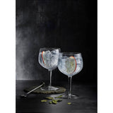 Luigi Bormioli Mixology Spanish Gin Glasses - Set of 4 - Potters Cookshop