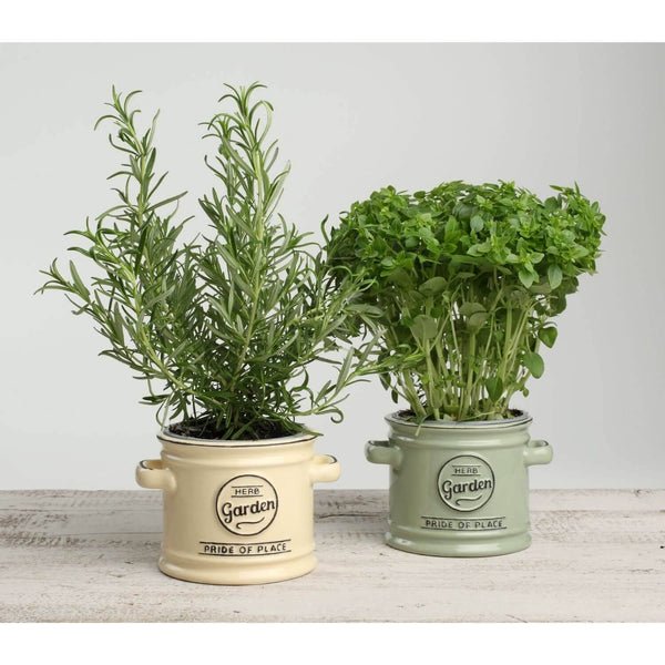 Pride of Place Plant / Herb Pot - Cream - Potters Cookshop