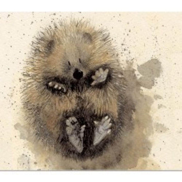 Alex Clark Placemat - Prickles - Potters Cookshop