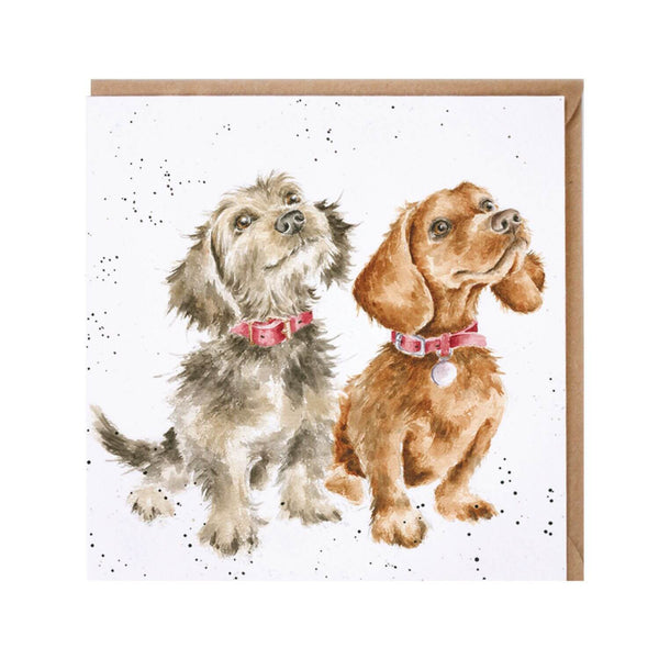 Wrendale Designs by Hannah Dale Card - Treat Time