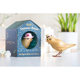 DCUK Garden Birds in a Box - Assorted