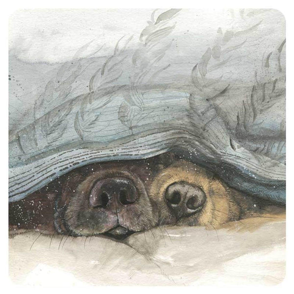 Alex Clark Coaster - Snouts - Potters Cookshop