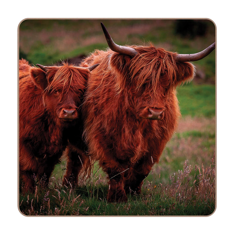 iStyle Rural Roots 4 Piece Square Coaster Set - Highland Cows