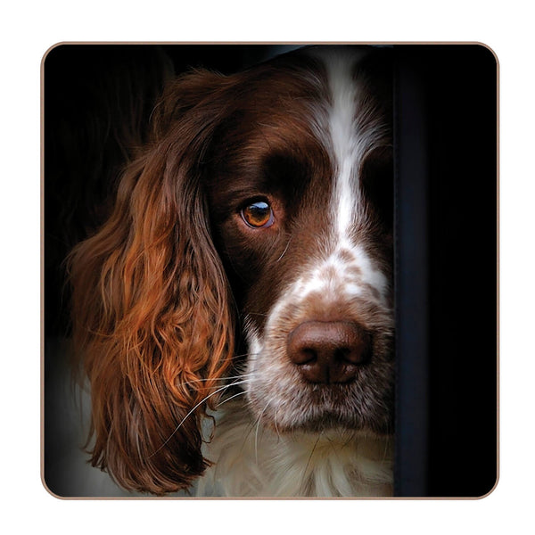 iStyle Rural Roots 4 Piece Square Coaster Set - Springer Spaniel