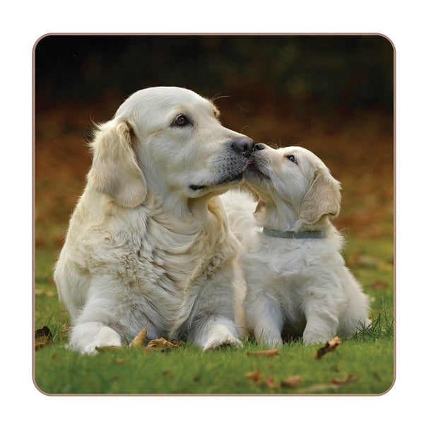iStyle Rural Roots 4 Piece Square Coaster Set - Golden Retrievers