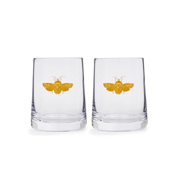 Spode Creatures of Curiosity Tumblers - Gold Moth