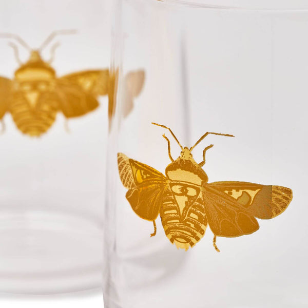 Spode Creatures of Curiosity Tumblers - Gold Moth