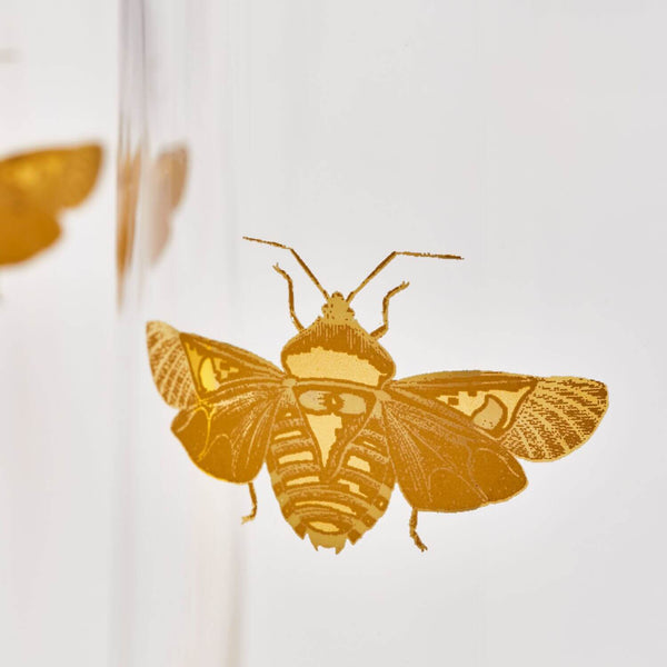 Spode Creatures of Curiosity Hi Ball Glasses - Gold Moth