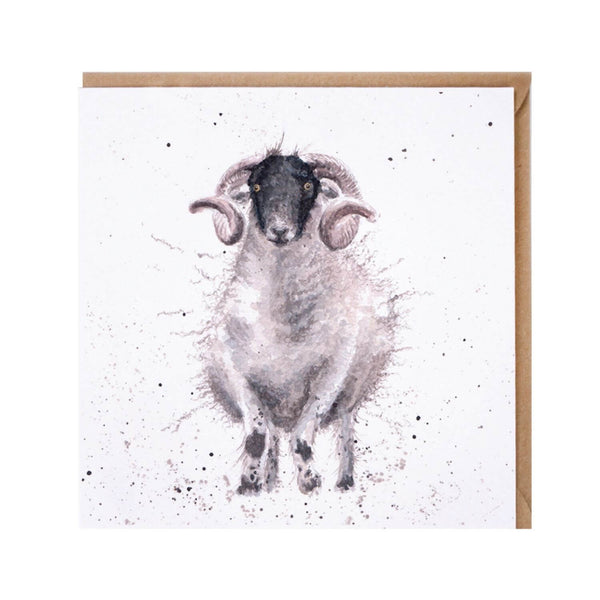 Wrendale Designs Card - Feeling Sheepish