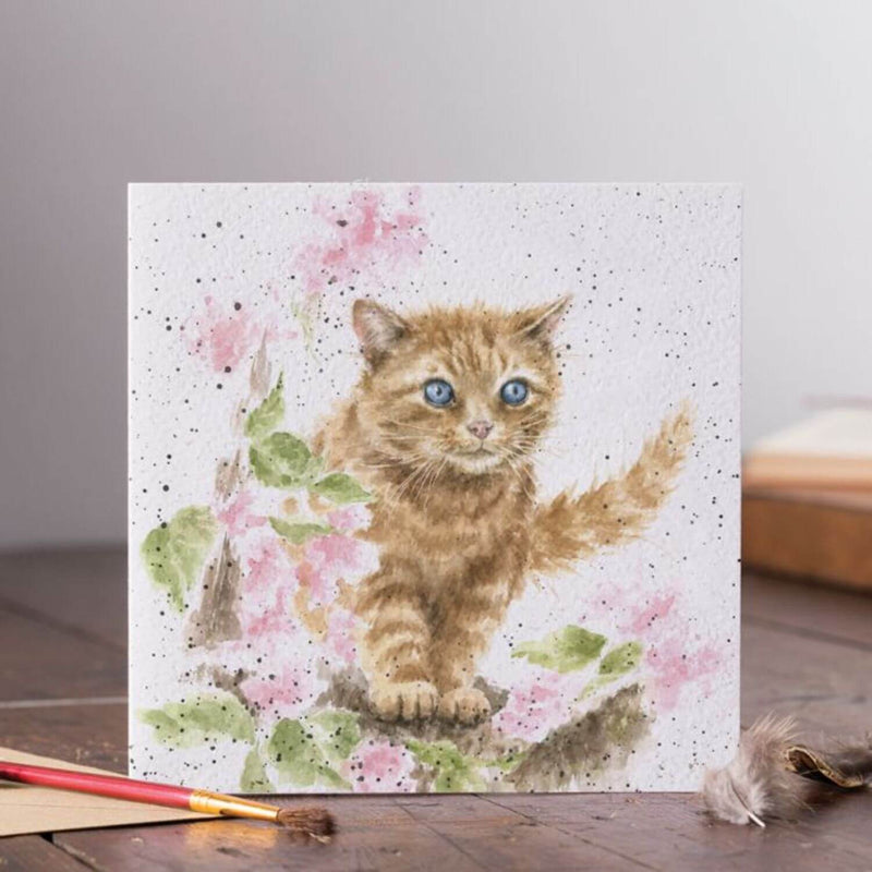 Wrendale Designs Card - The Marmalade Cat