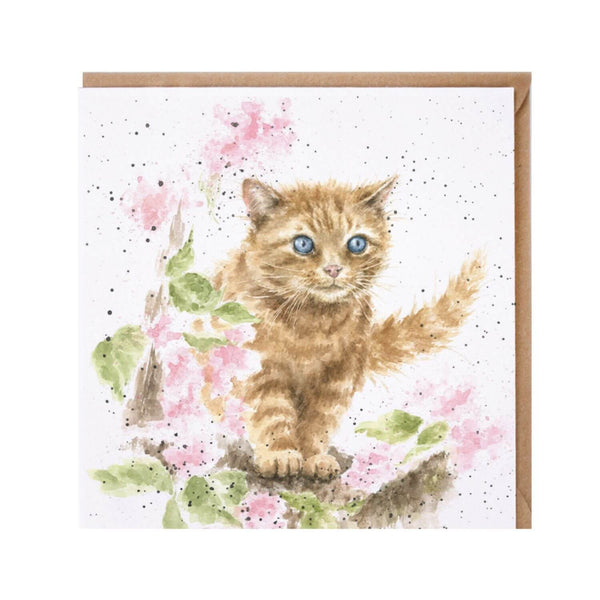 Wrendale Designs Card - The Marmalade Cat