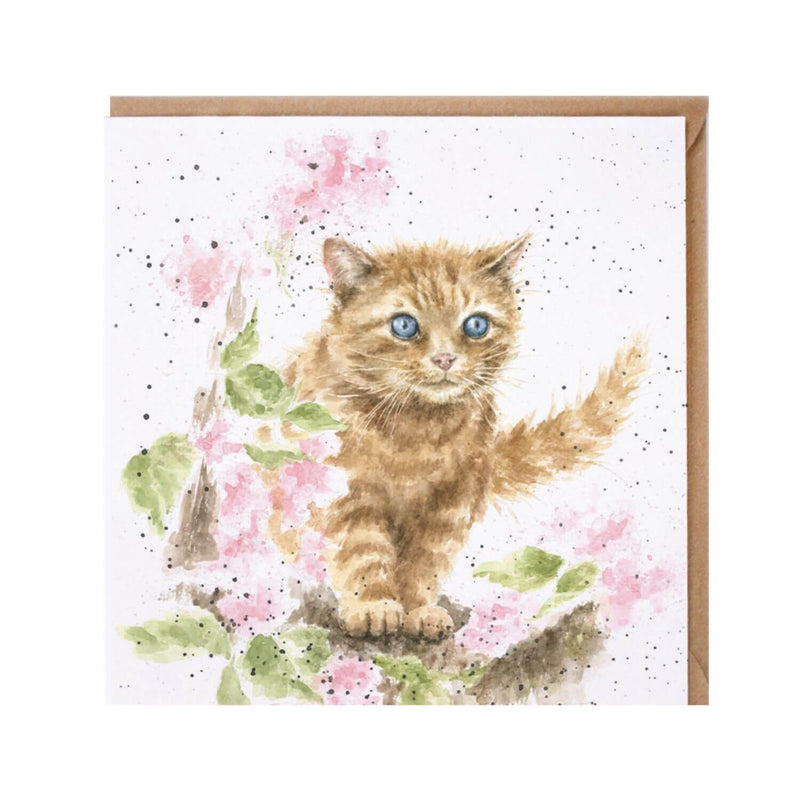 Wrendale Designs by Hannah Dale Card - The Marmalade Cat