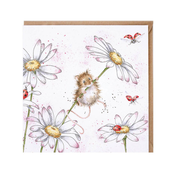 Wrendale Designs Card - Oops A Daisy