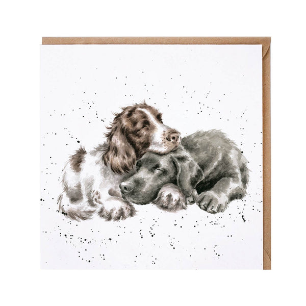 Wrendale Designs by Hannah Dale Card - Growing Old Together
