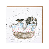 Wrendale Designs by Hannah Dale Card - Wash, Dry, Fold, Repeat