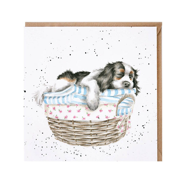 Wrendale Designs by Hannah Dale Card - Wash, Dry, Fold, Repeat