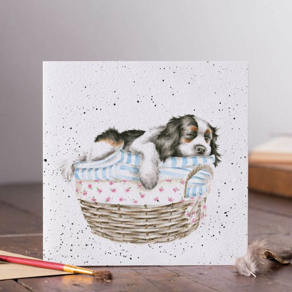 Wrendale Designs by Hannah Dale Card - Wash, Dry, Fold, Repeat