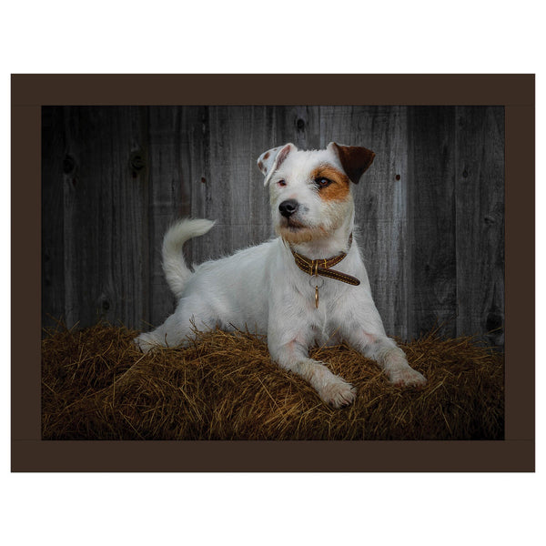 iStyle Rural Roots Faux Leather Cushioned Rectangular Lap Tray - Jack Russel