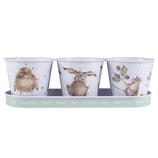 Wrendale Designs by Hannah Dale Set of 3 Herb Pots & Tray - Mice