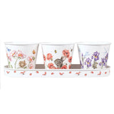 Wrendale Designs by Hannah Dale Set of 3 Herb Pots & Tray - Flowers