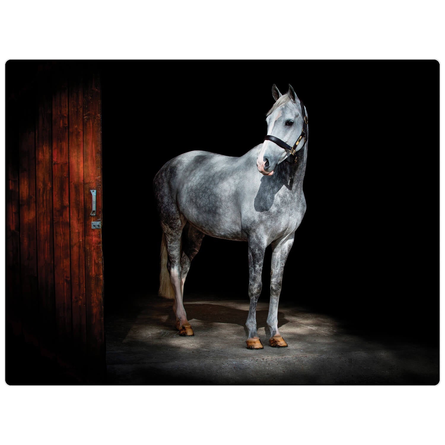 Buy iStyle | Rural Roots Glass Worktop Saver - Horse – Potters Cookshop
